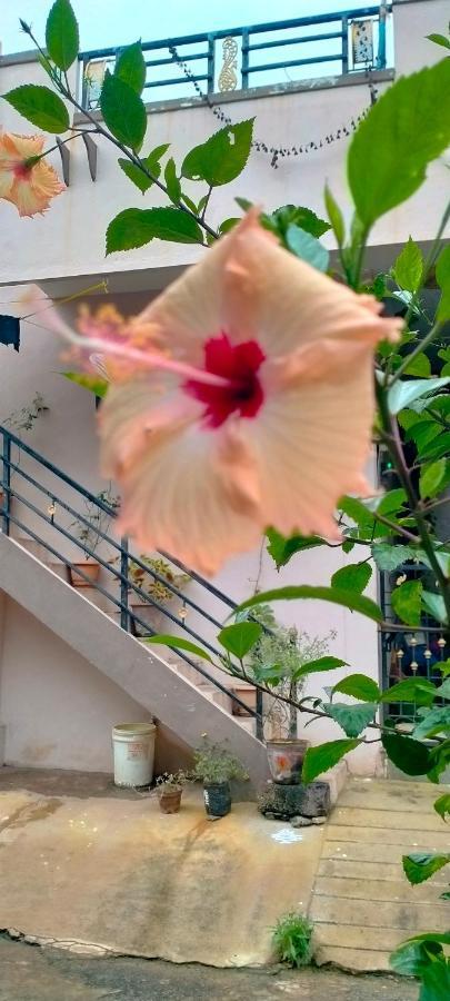 הופסט Sahasra Home Stay Hampi מראה חיצוני תמונה